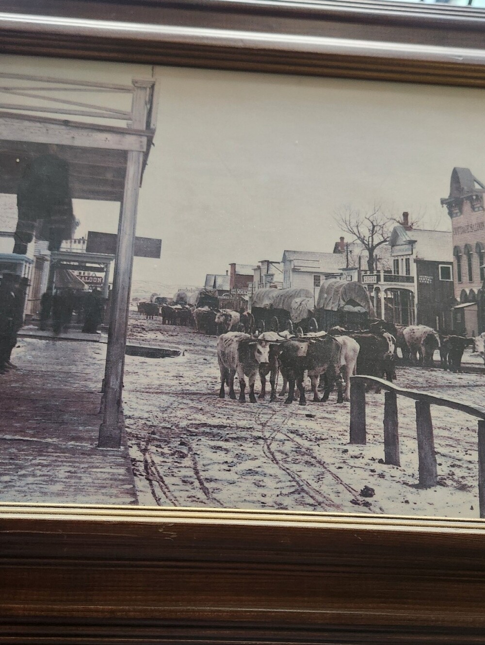 Historic L. A. Huffman  mounted- diamond  R BULL train, main st miles city Monta